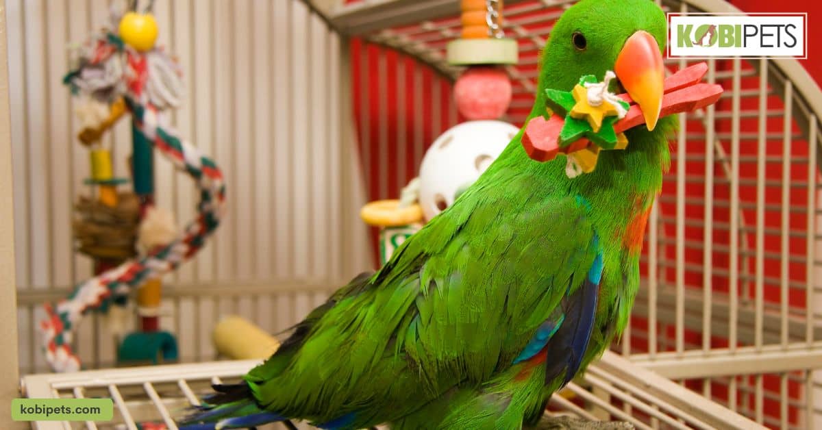 Create Activities Specific to Your Pet's Interests and Abilities
