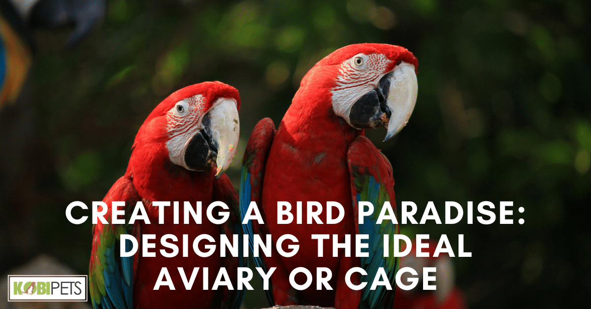 Creating a Bird Paradise: Designing the Ideal Aviary or Cage