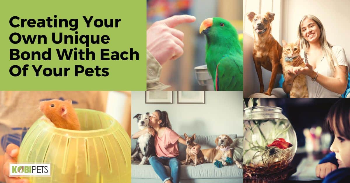 Creating Your Own Unique Bond With Each Of Your Pets