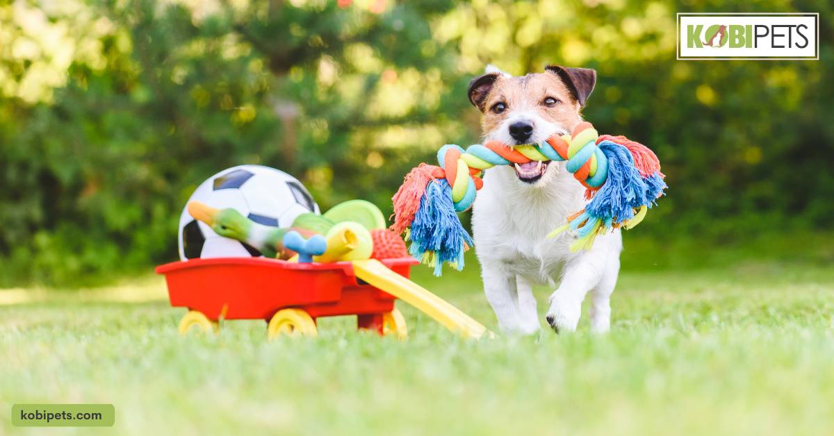 Decide if you want a dog or a cat.
