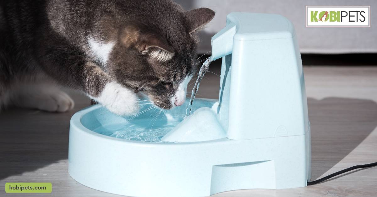 dehydration Treatment