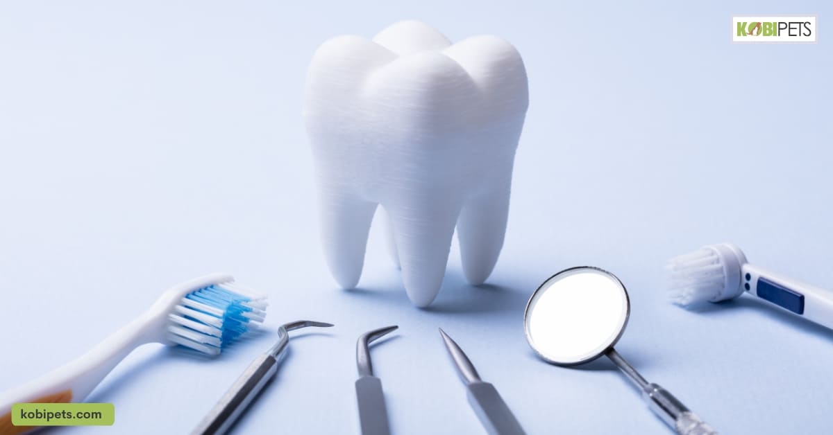 Common Dental Problems in Herbivores