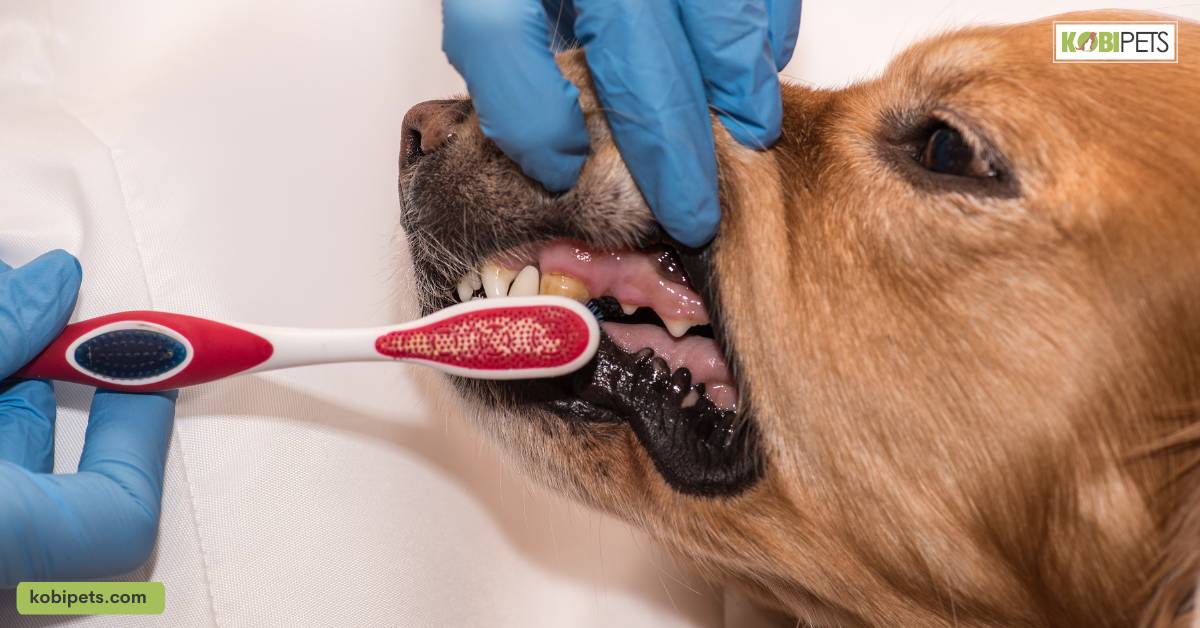 Dental problems
