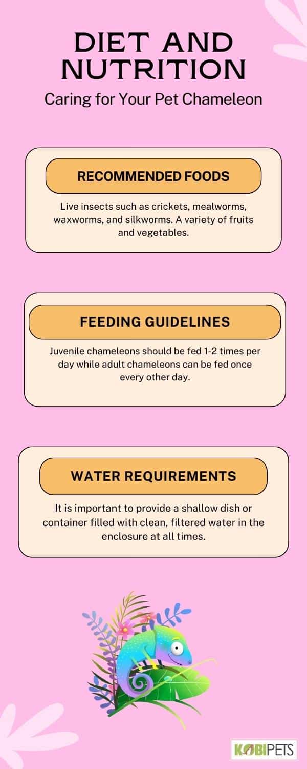 Diet and Nutrition