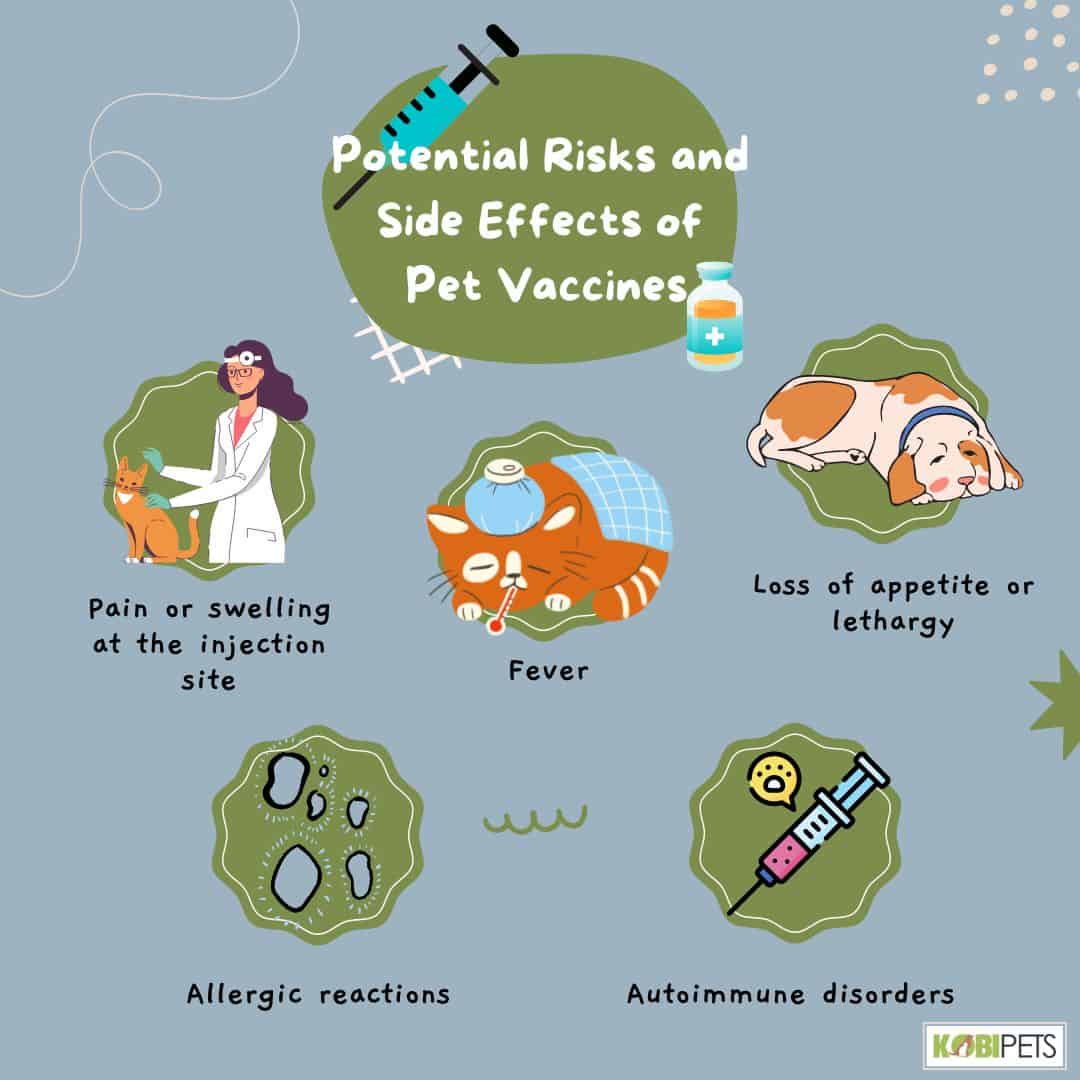 Potential Risks and Side Effects