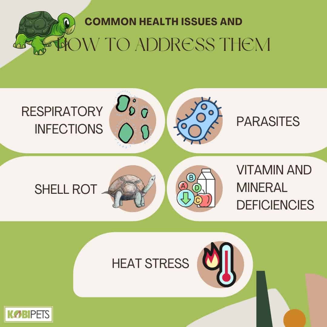 Common Health Issues and How to Address Them