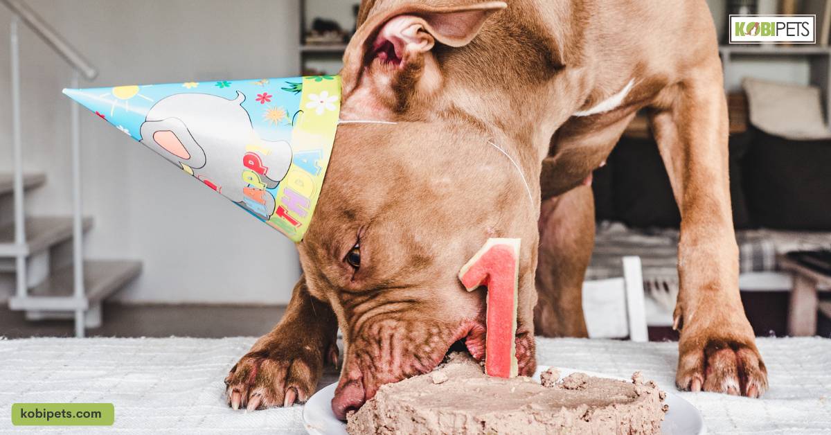 Can Dogs Eat Sugar?