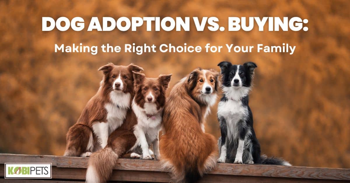 Dog Adoption vs. Buying: Making the Right Choice for Your Family