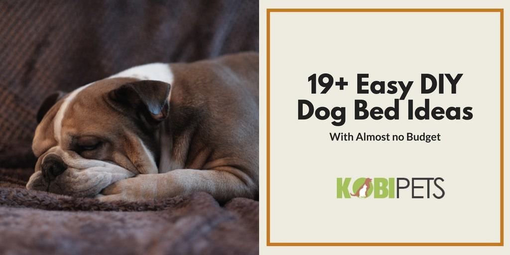 Creative and Easy DIY Dog Bed Ideas