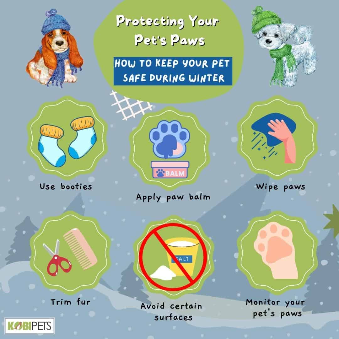 Protecting Your Pet's Paws