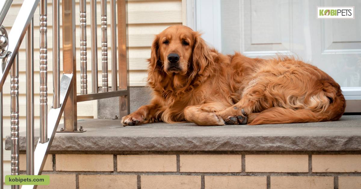 Enhanced Home Security