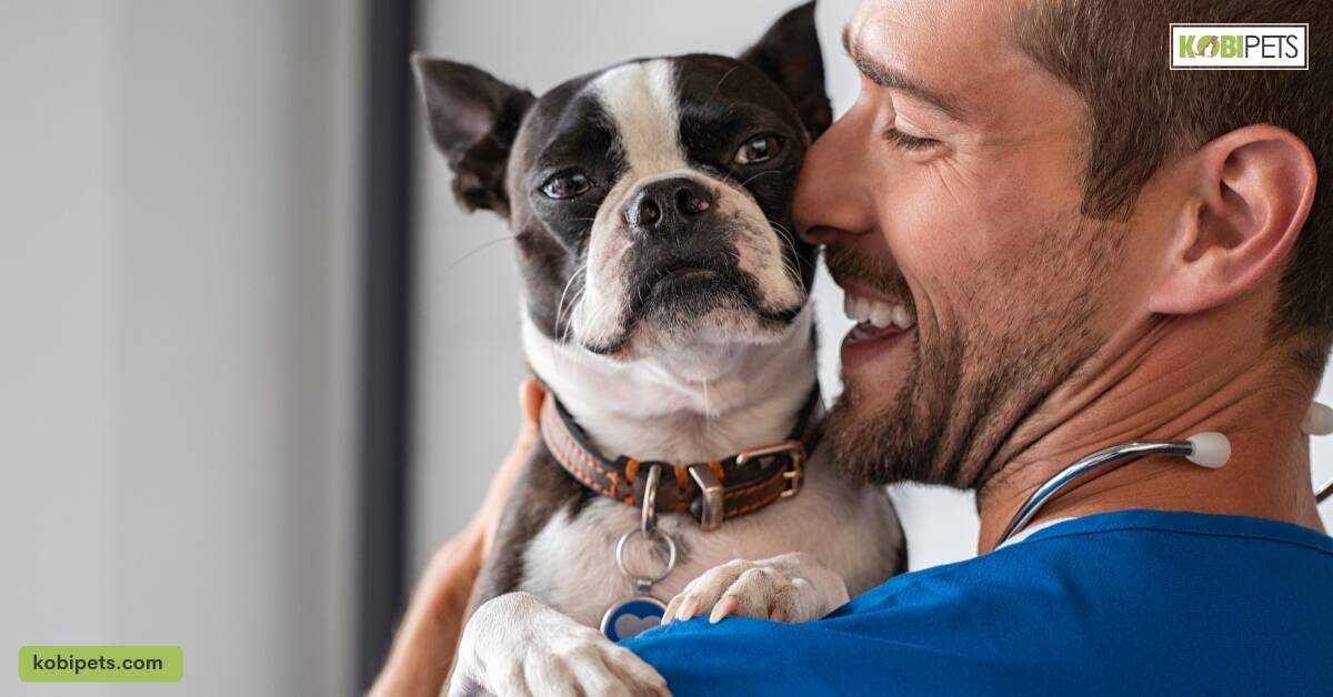 Ensure Your Pet is Healthy and Ready to Fly
