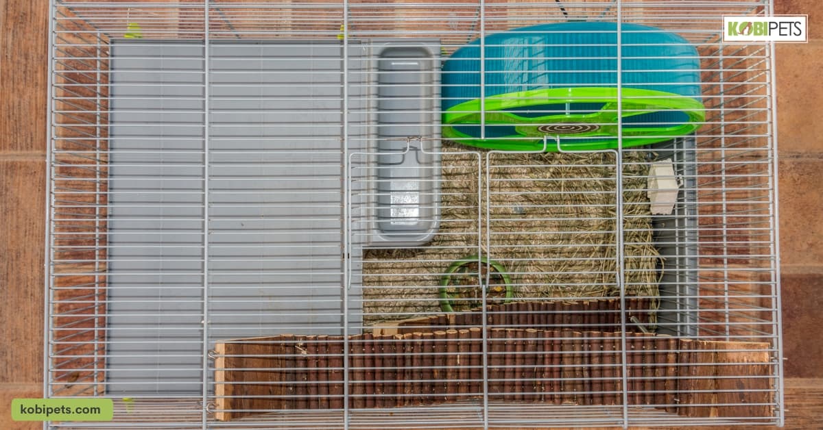 Essential cage accessories