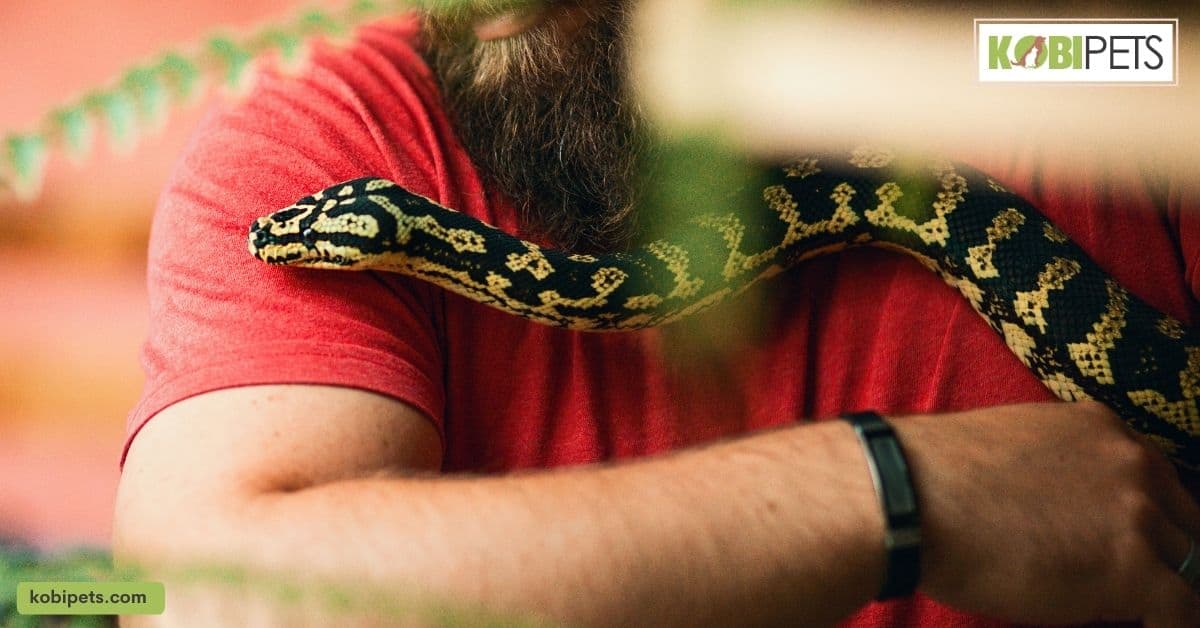 Ethical Considerations Around Keeping Wild Animals as Pets