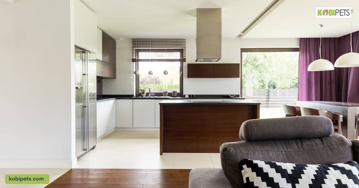 Evaluate Your Living Space and Environment
