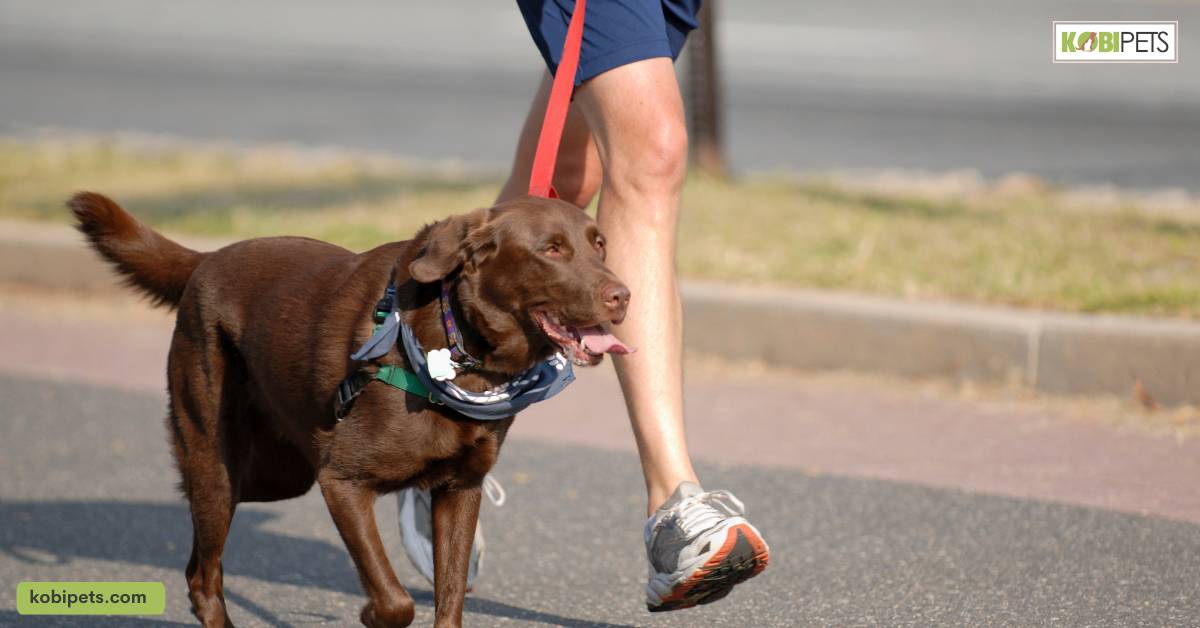Exercise and Mental Stimulation