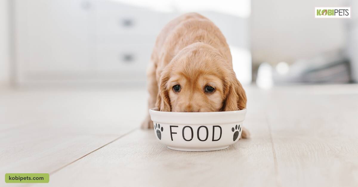 Feed Them a Healthy Diet