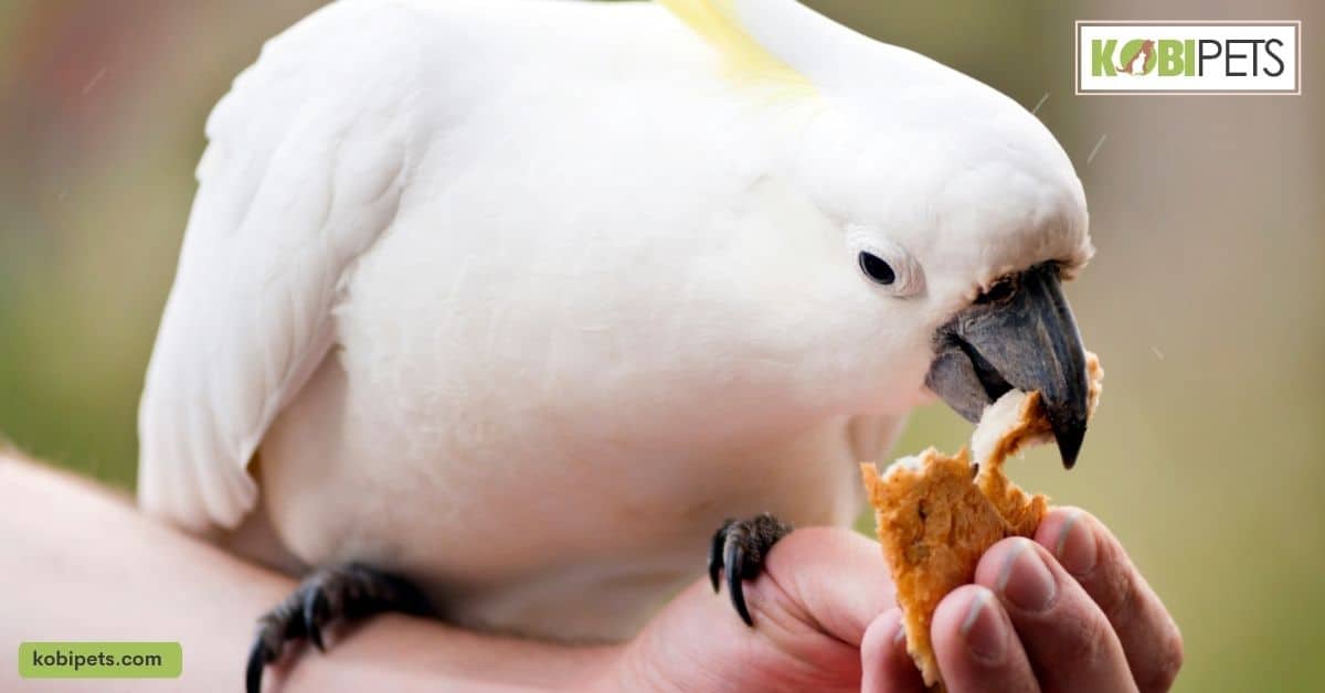 Feeding and Nutrition
