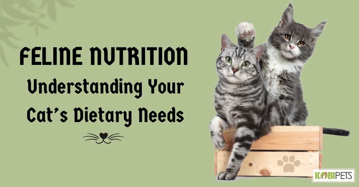 Feline Nutrition: Understanding Your Cat’s Dietary Needs