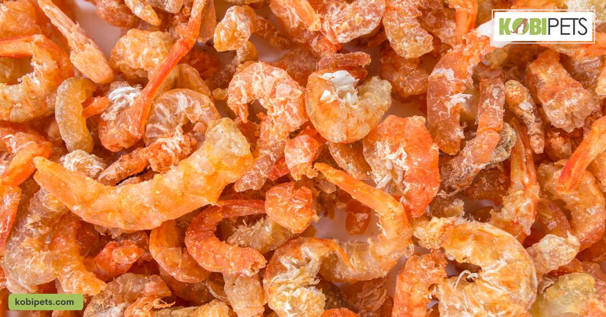 Freeze-dried shrimp, mealworms, and crickets