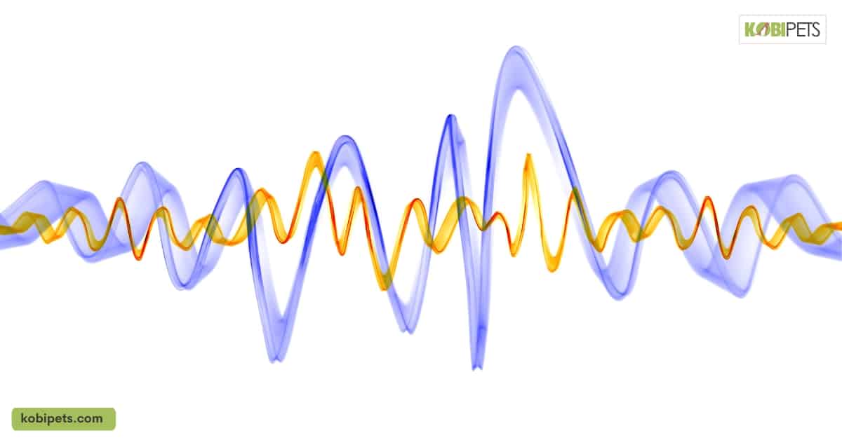 Frequency Range