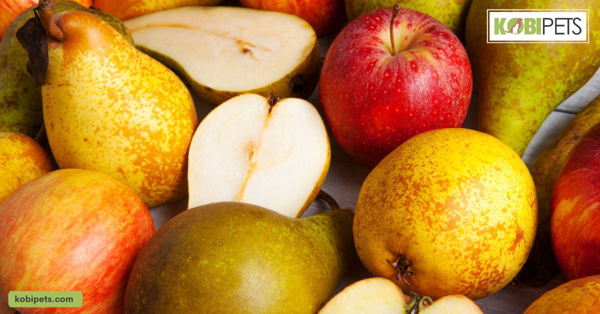 Fruits like apples, pears, melons, strawberries, and blueberries