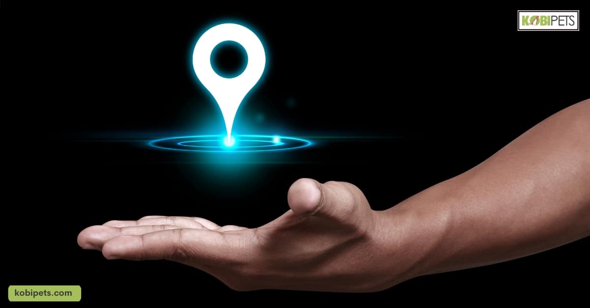 GPS Tracking