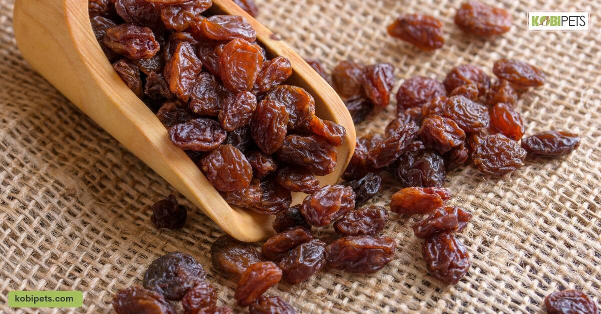 Grapes and Raisins