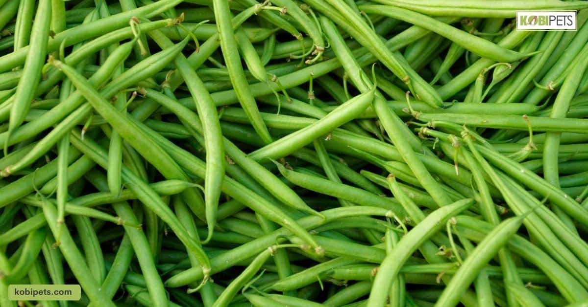 Green Beans
