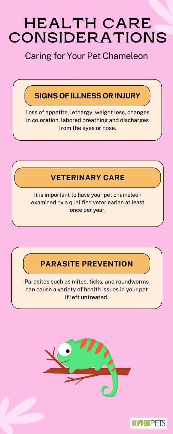 Health Care Considerations
