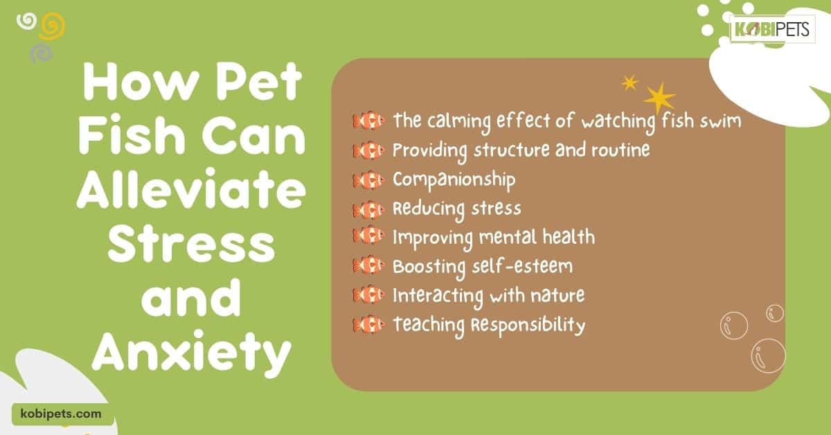 How Pet Fish Can Alleviate Stress and Anxiety