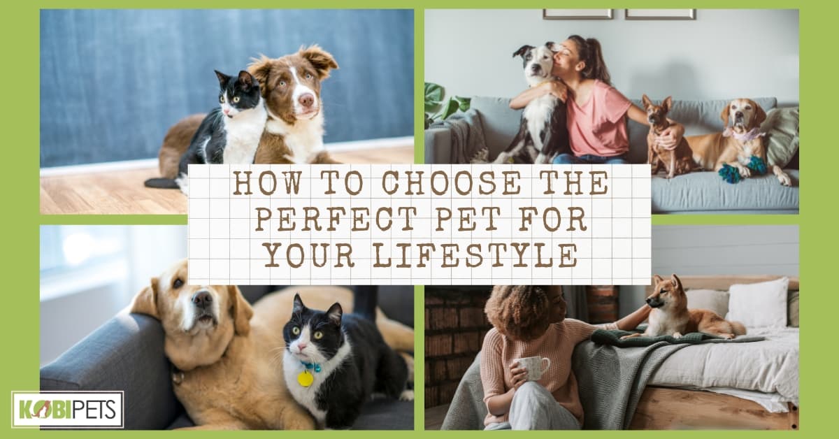 How to Choose the Perfect Pet for Your Lifestyle