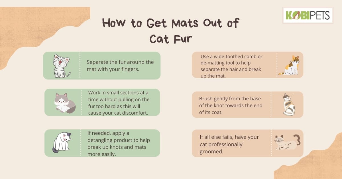 How to Painlessly Get Mats Out of Cat Fur