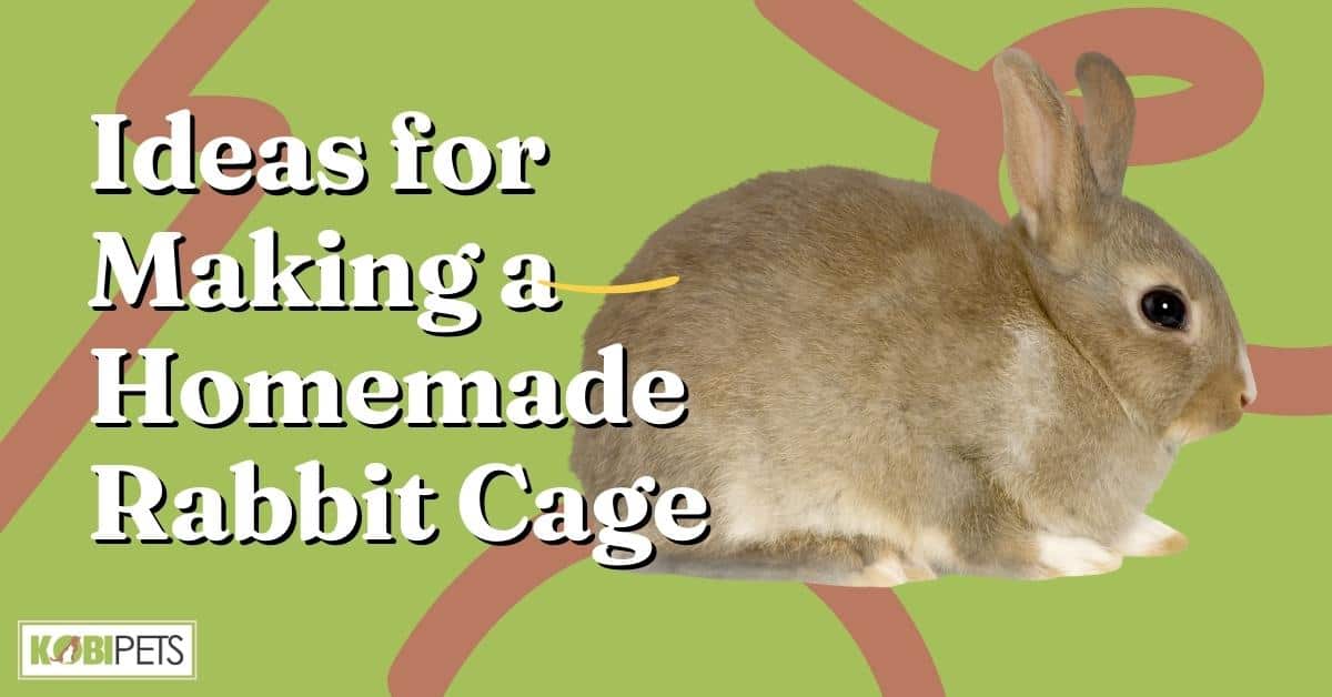 Ideas for Making a Homemade Rabbit Cage