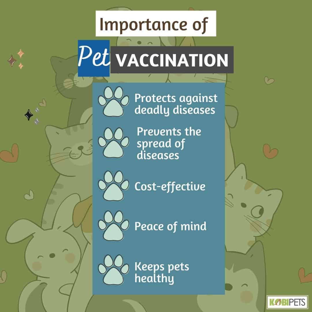 Importance of Pet Vaccination