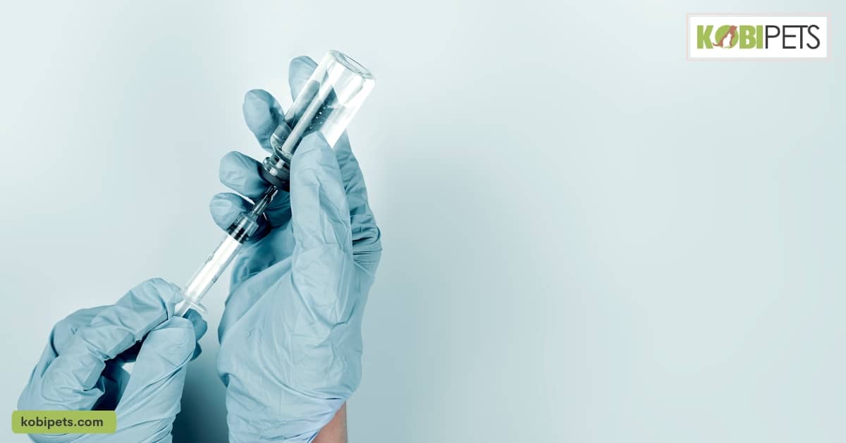 Importance of Sticking to a Vaccination Schedule