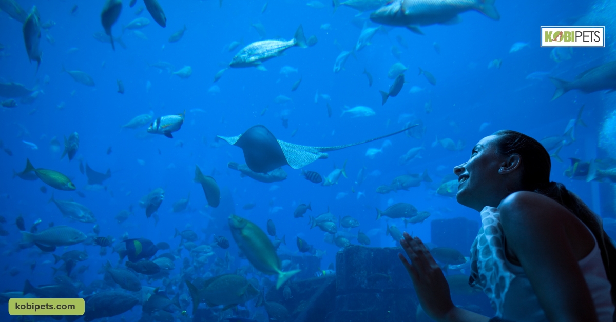 8 Health Benefits of Keeping a Thriving Aquarium