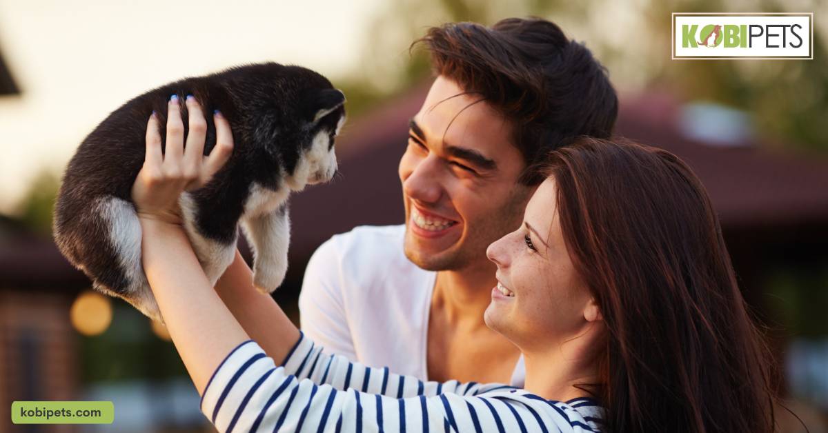 Increased Social Interaction and Companionship