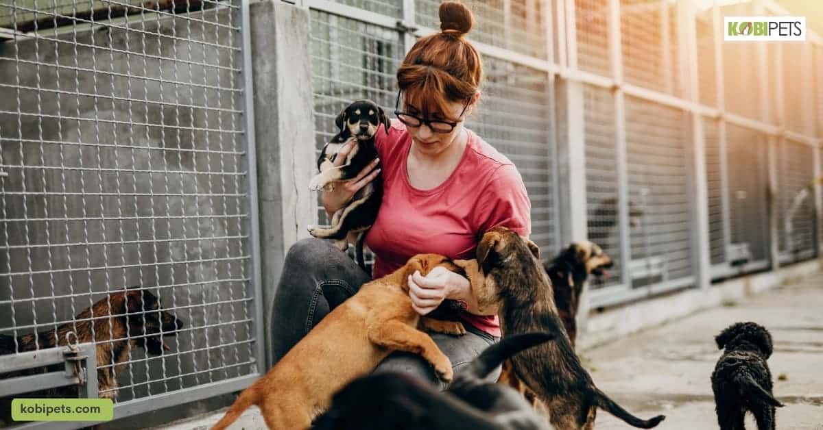 Interact with Potential Pets and Seek Expert Advice