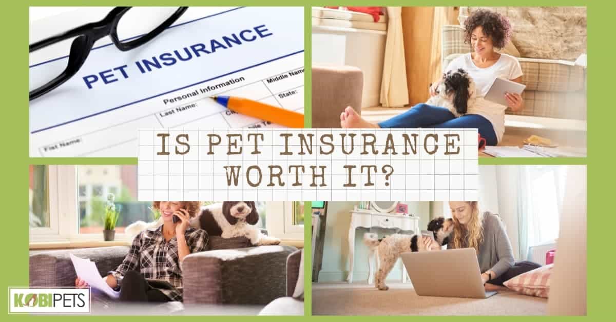 Is Pet Insurance Worth It?