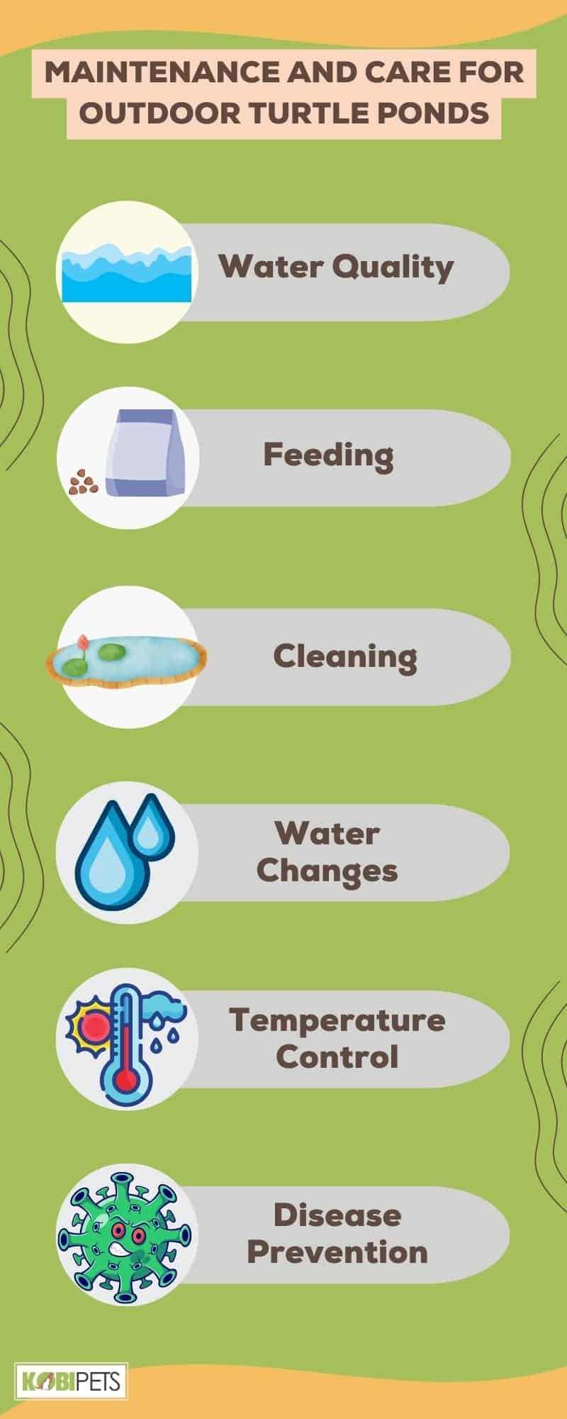 Maintenance and Care for Outdoor Turtle Ponds