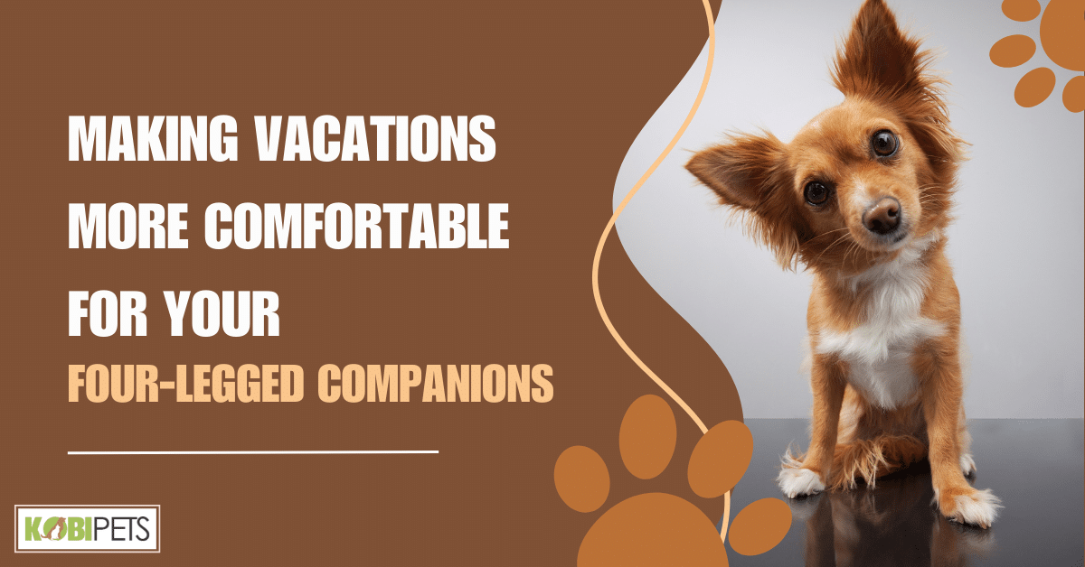 Making Vacations More Comfortable for Your Four-Legged Companions