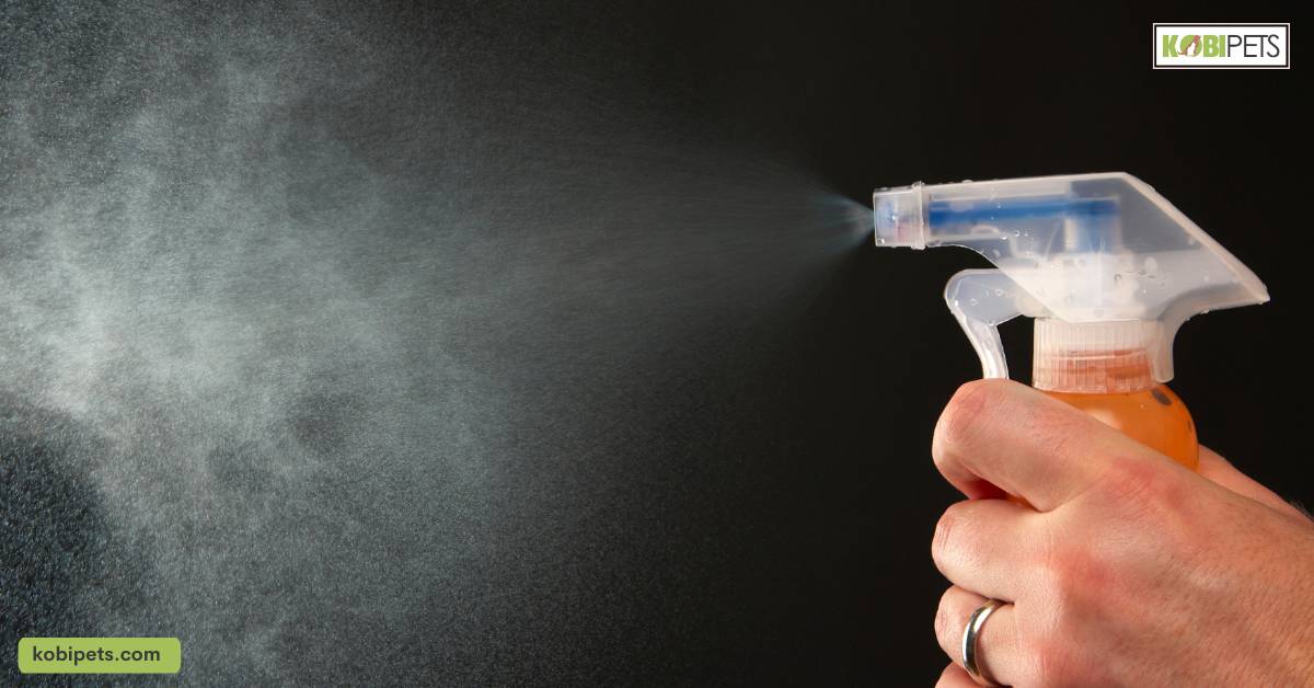 A Guide to Buying Reptile Misting Systems: What You Need to Know