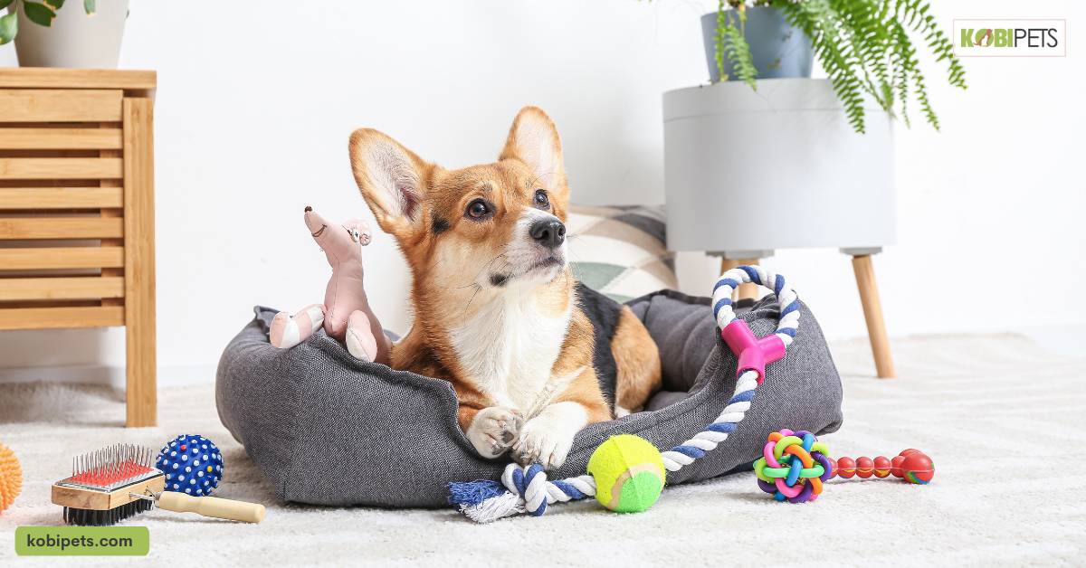 Meeting your pet's individual needs