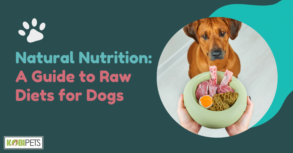 Natural Nutrition: A Guide to Raw Diets for Dogs
