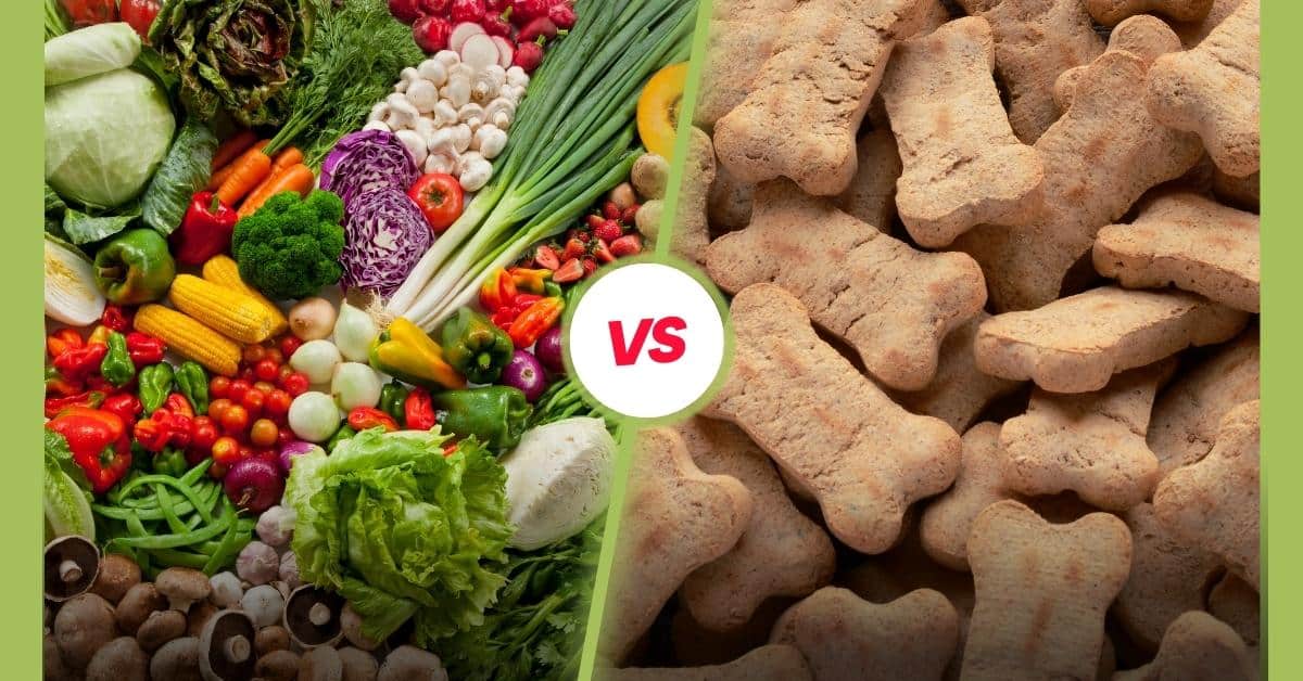 Natural vs. Processed Dog Treats