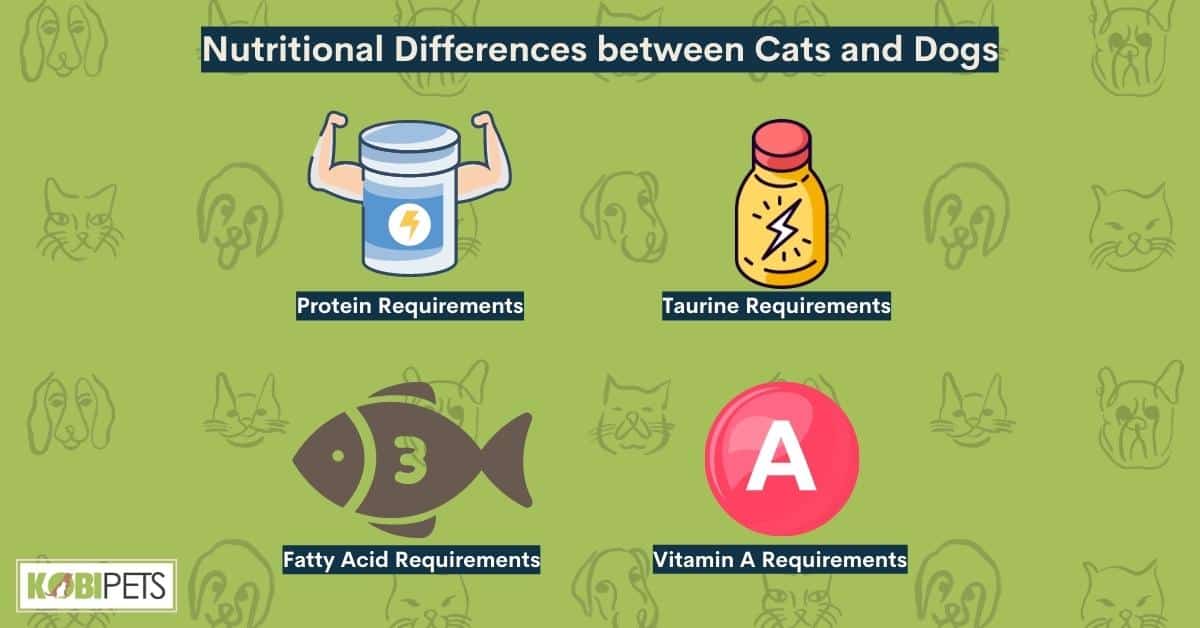 Nutritional Differences between Cats and Dogs