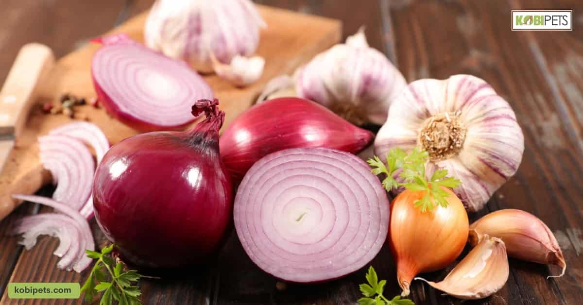 Onions and Garlic