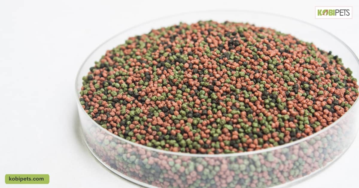 Nitrate Poisoning in Freshwater Aquarium Fish