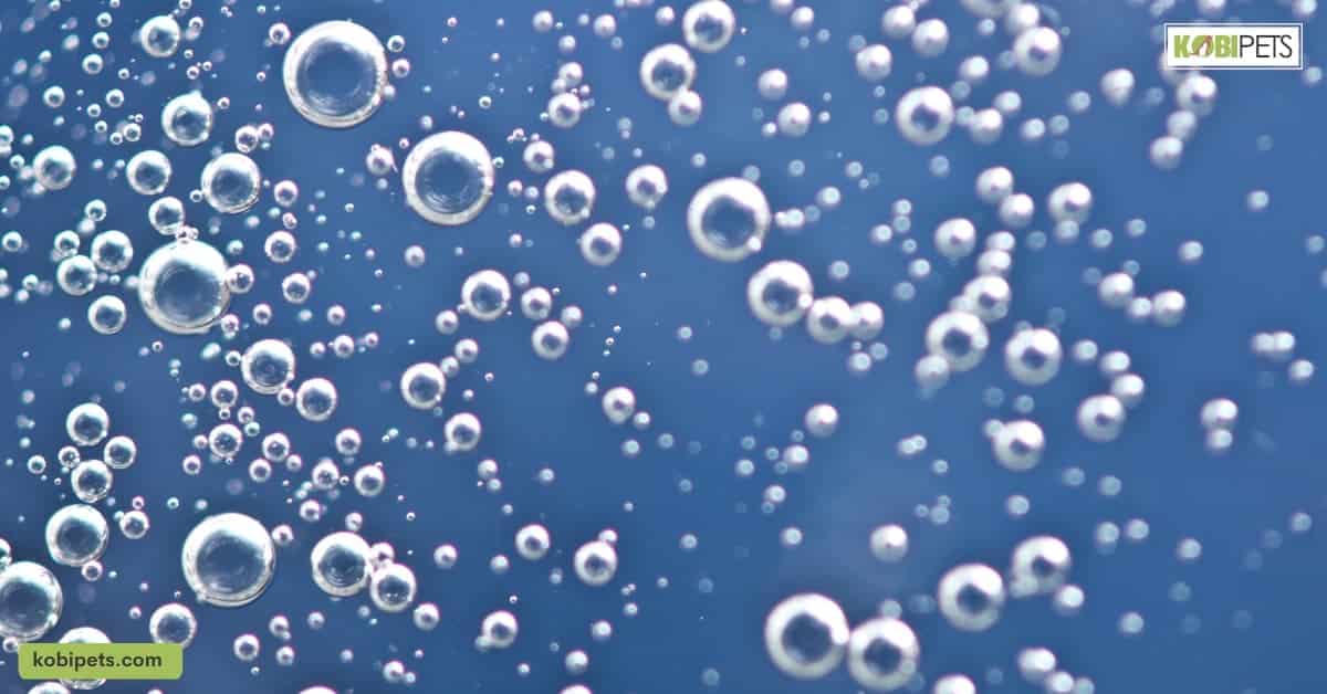 Oxygenation